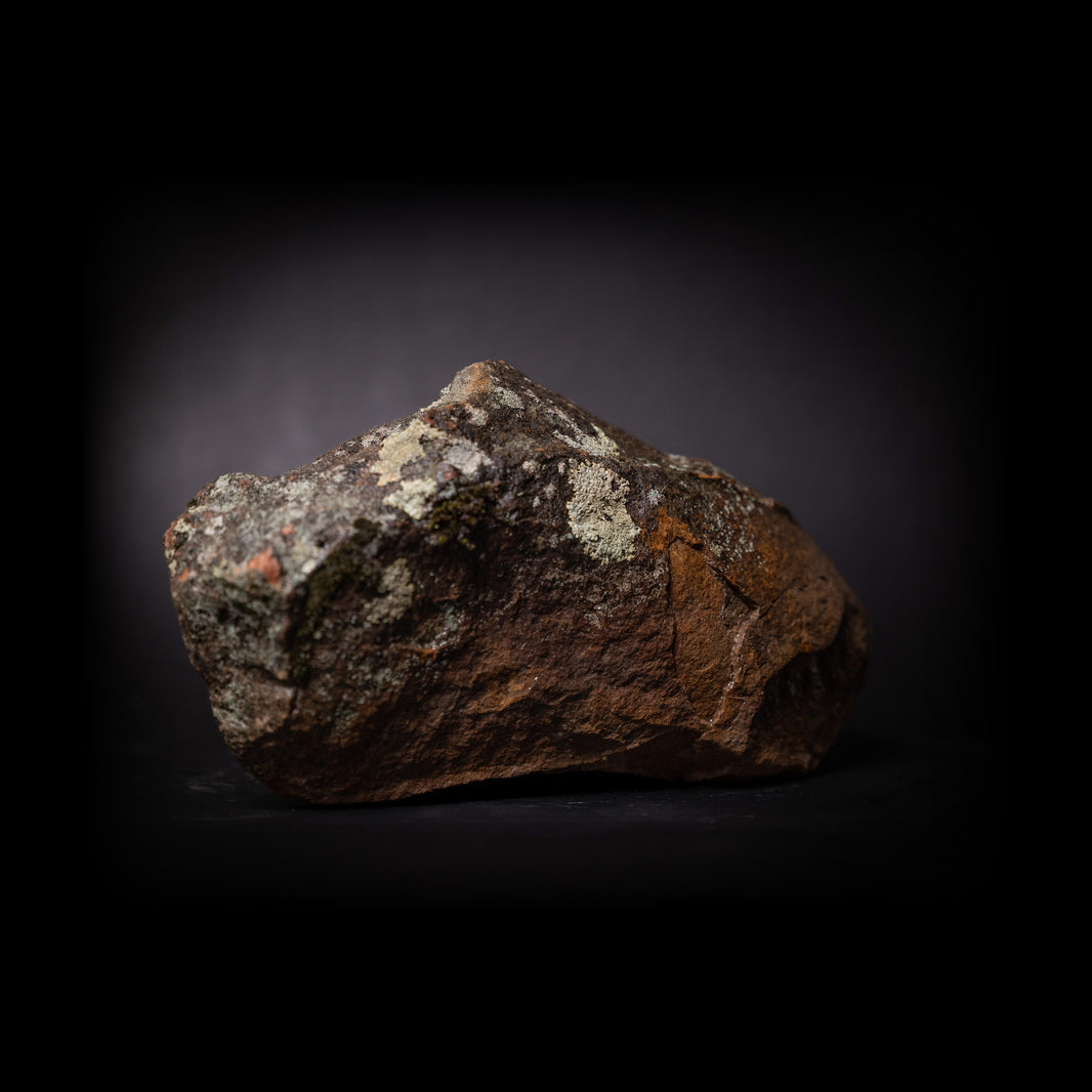 moss_rock_A1