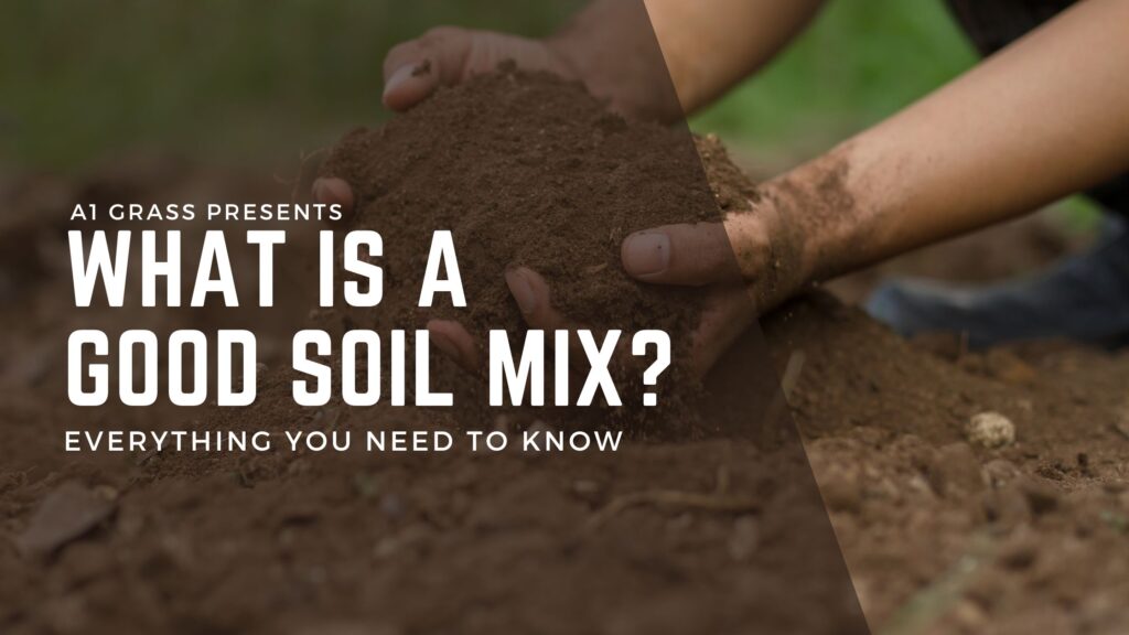 What is a good soil mix?