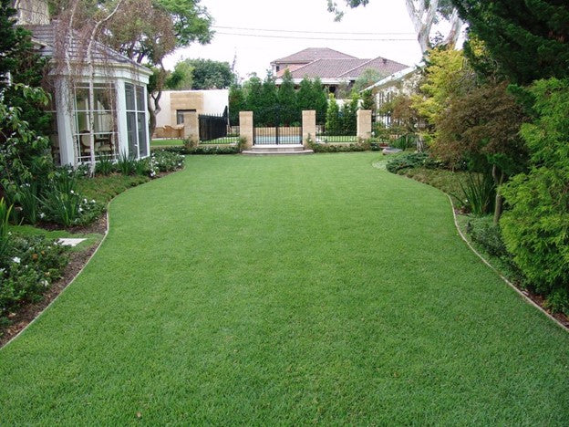 3 Reasons Why St. Augustine Grass is the Best for North Texas Homeowners