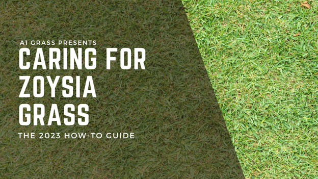 Caring for Zoysia Grass: A Comprehensive Guide by A1 Grass