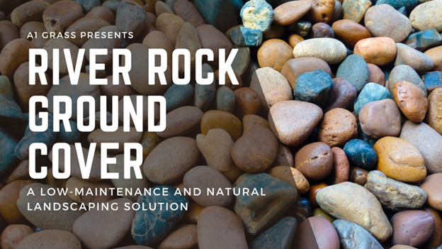 River Rock Ground Cover: Lovely & Unique and Low-Maintenance Landscaping Solution in 2023