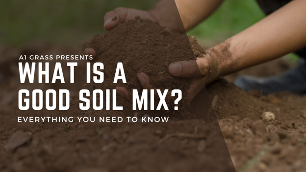 What is a Good Soil Mix for a Thriving Garden in 2023?