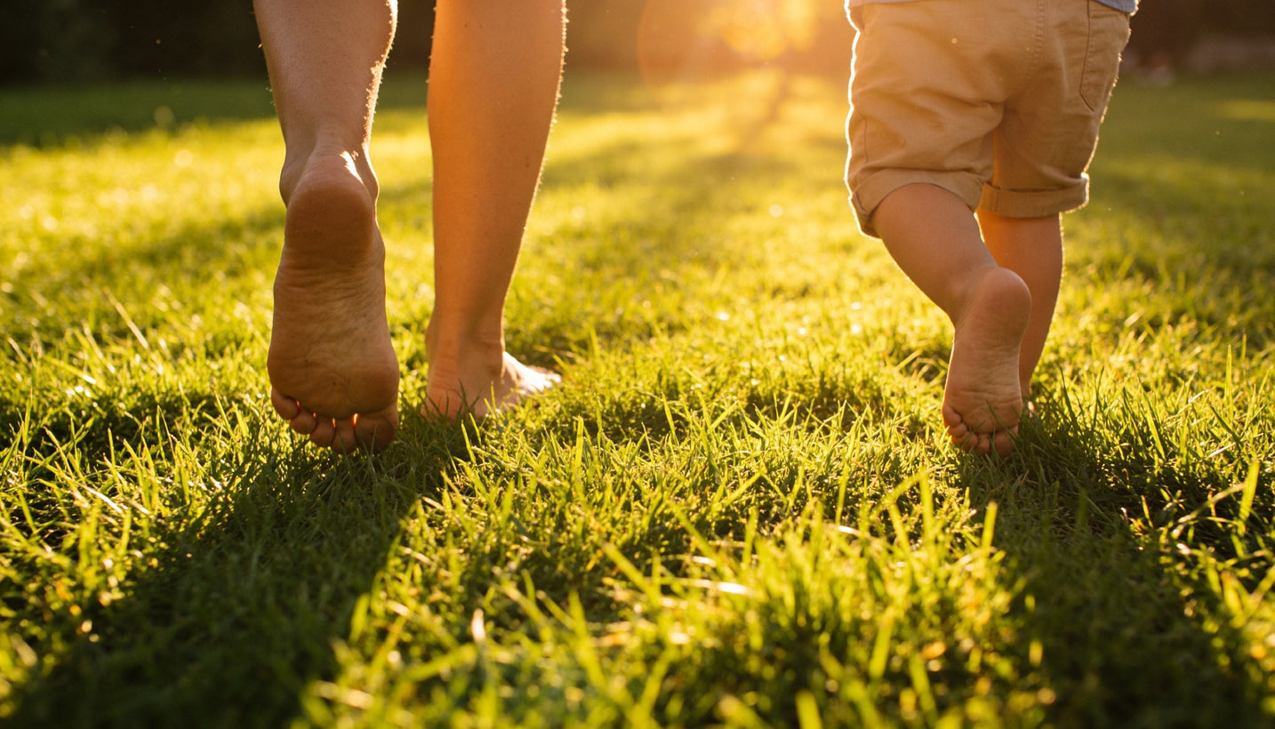 Your February Guide to a Flawless Summer Lawn (And the Secret No One Tells You)