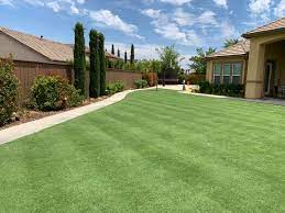 Transform Your Lawn with Tiff 419 Bermuda