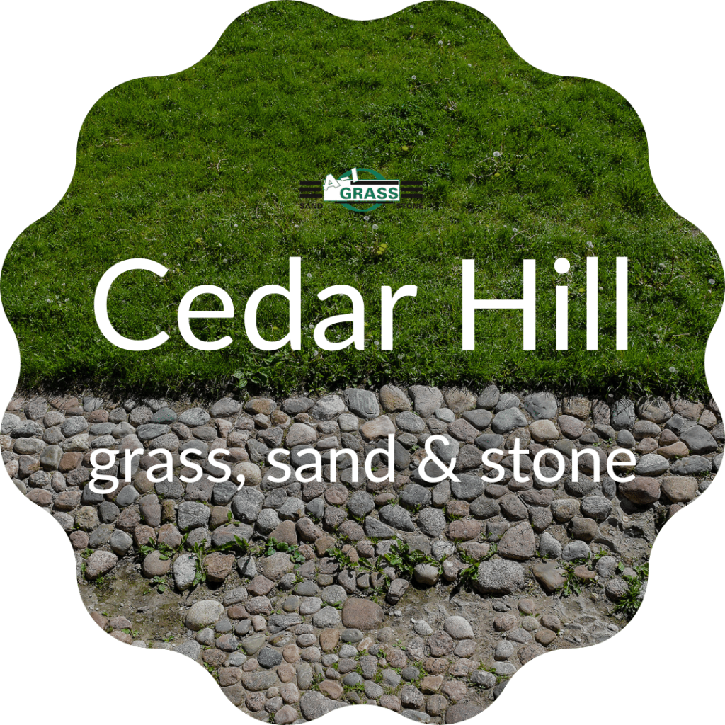 Cedar Hill Grass , Sand & Stone