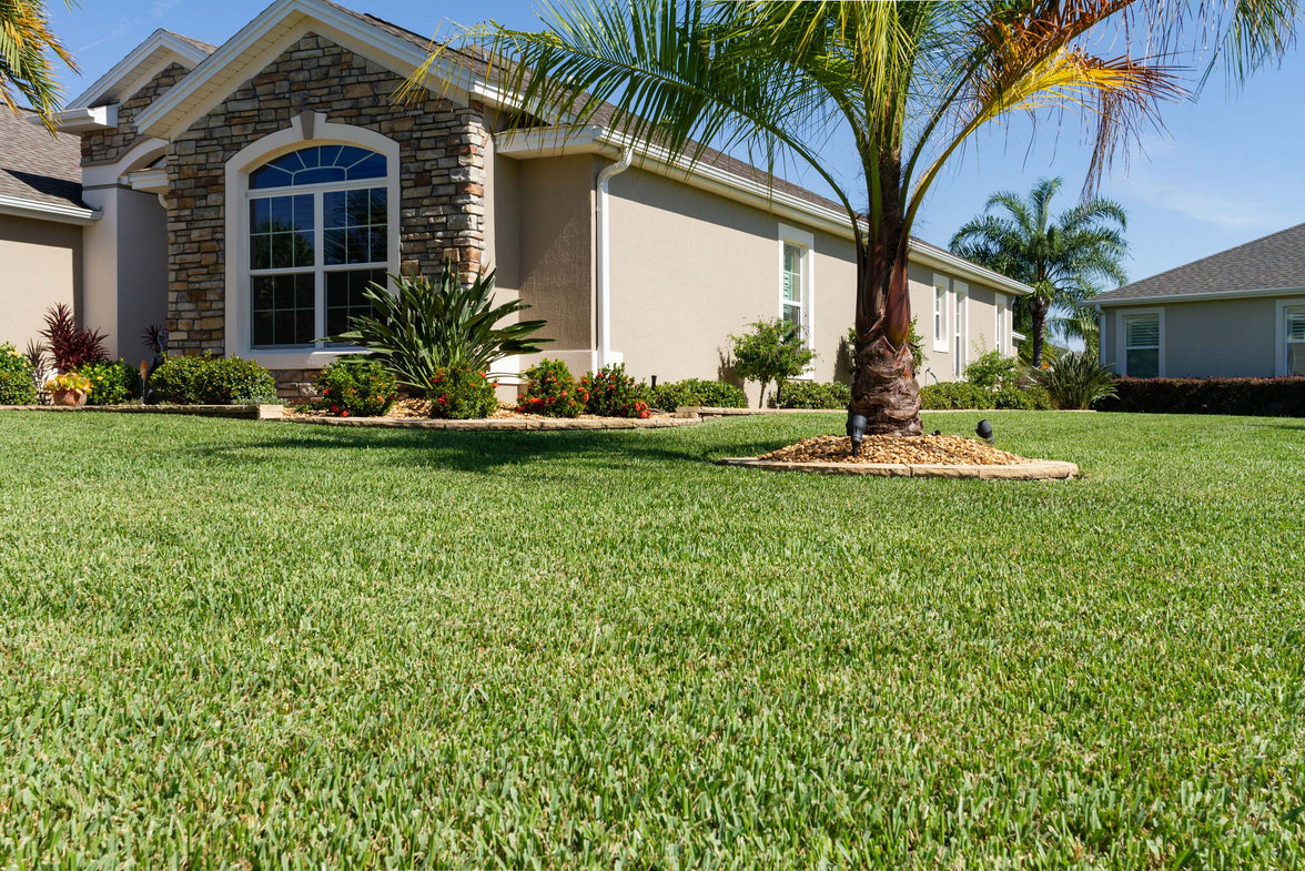 Scott's® ProVista™ St. Augustine