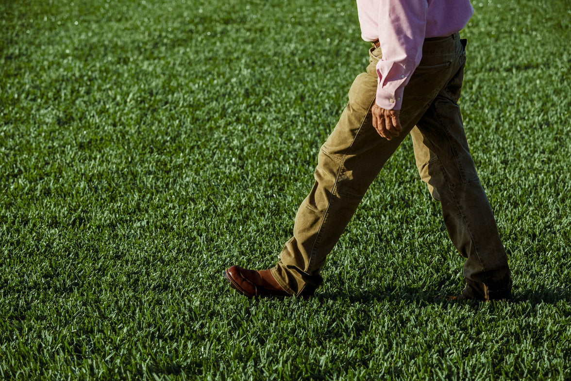 Scott's® ProVista™ St. Augustine