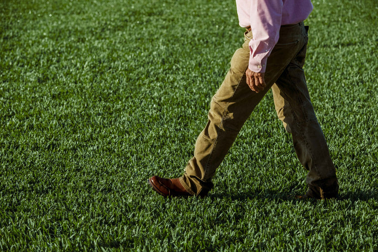 the-ultimate-guide-to-watering-st-augustine-grass-for-a-lush-lawn