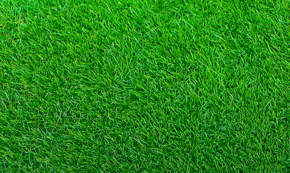 grass sod landscaping products in North Texas